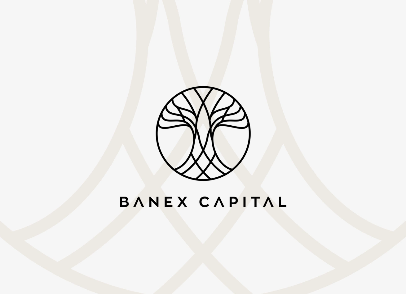 Banex Capital
